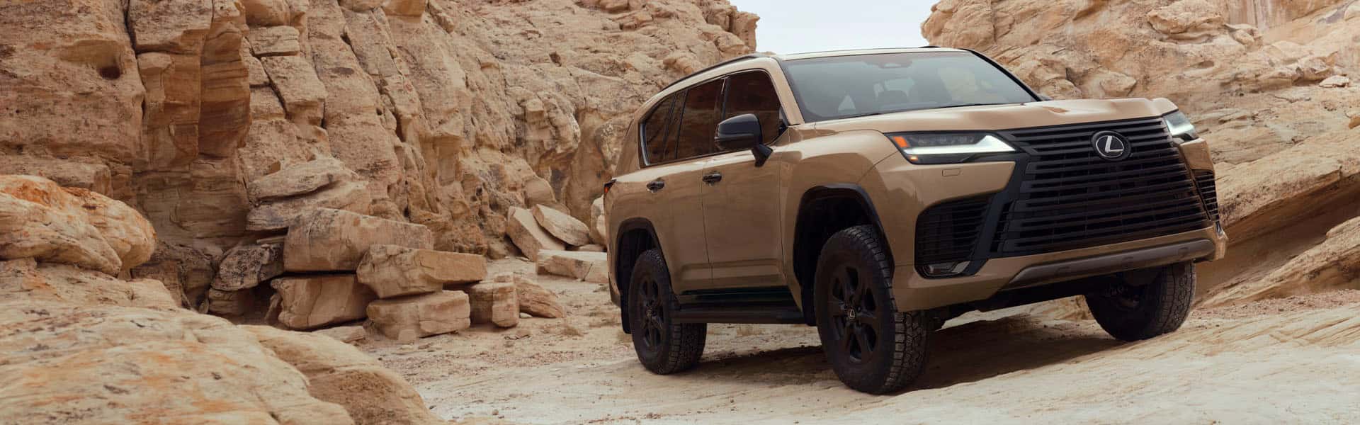 DI-Lexus-LX-Search-Bar-1-1920x600