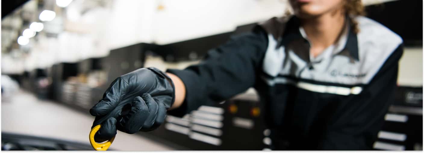 Lexus Oil Service