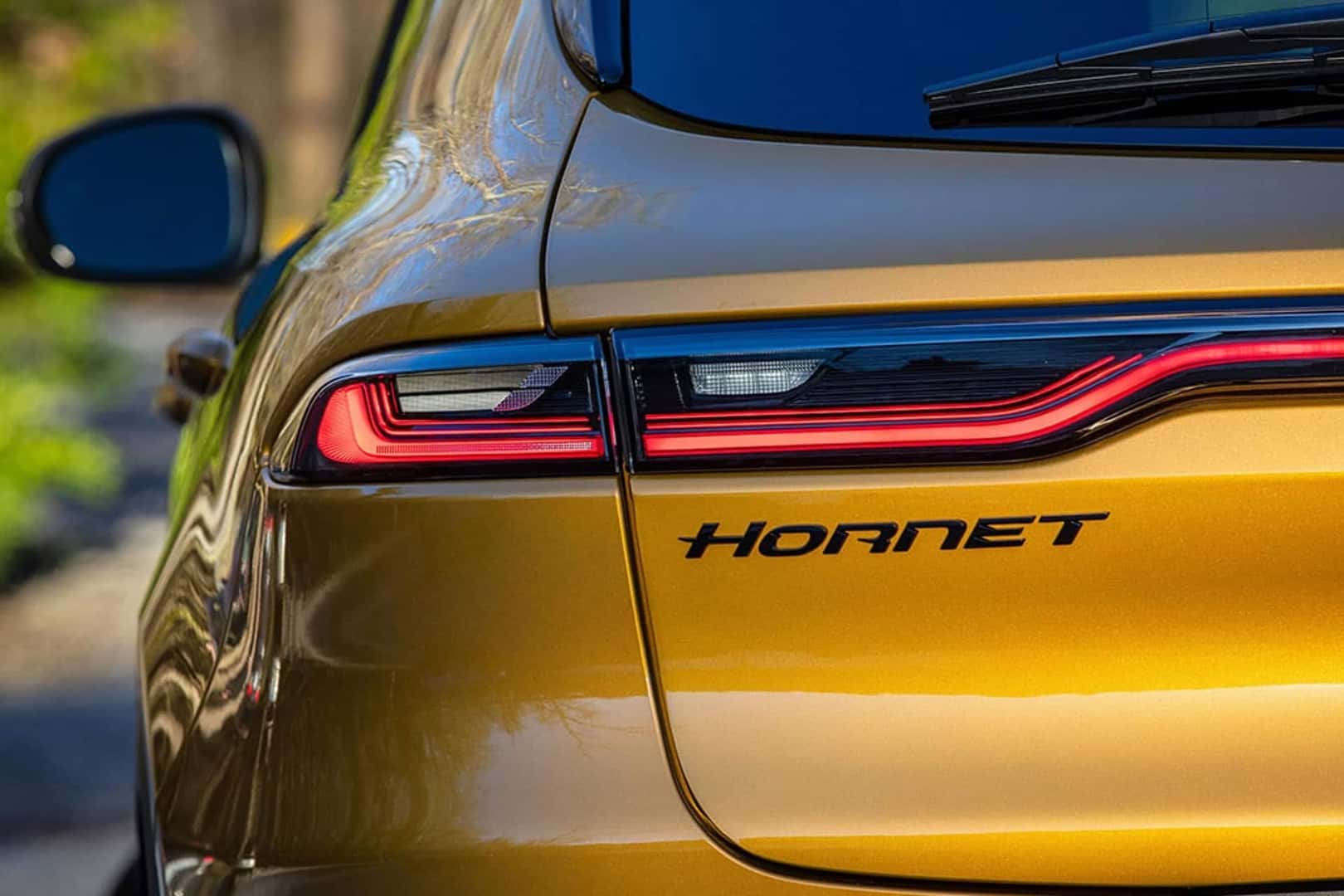 hornet rear close up