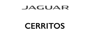 Jaguar logo