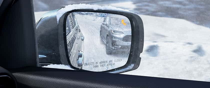 Blind Spot Information System