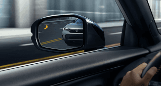 Blind Spot Information System