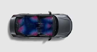 Bose Premium Sound System