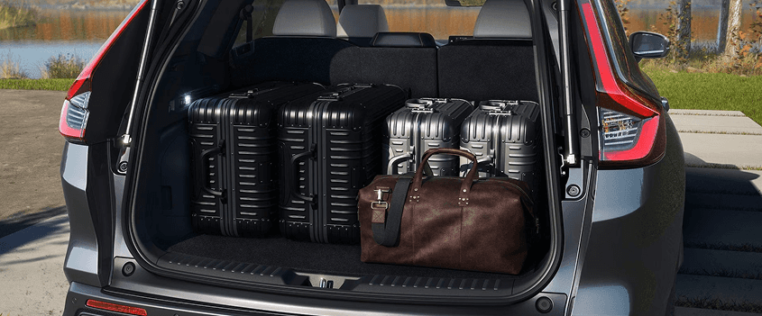 Cargo Space