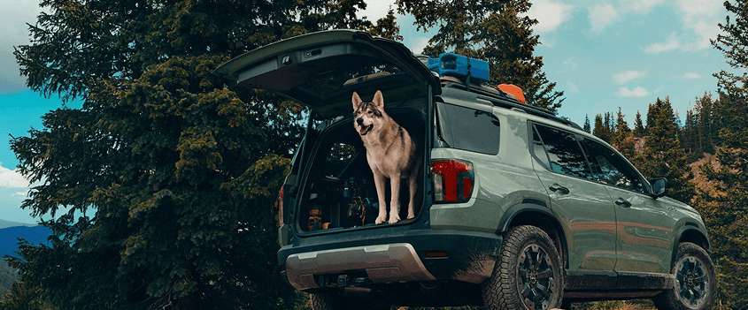 Hands-Free Access Power Tailgate