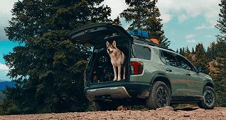 Hands-Free Access Power Tailgate