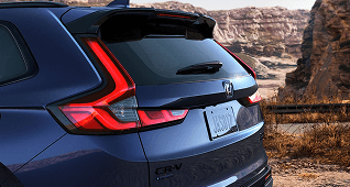 LED Taillights