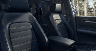Leather-Trimmed Seating