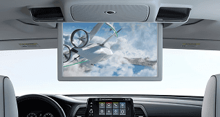 Rear Entertainment System