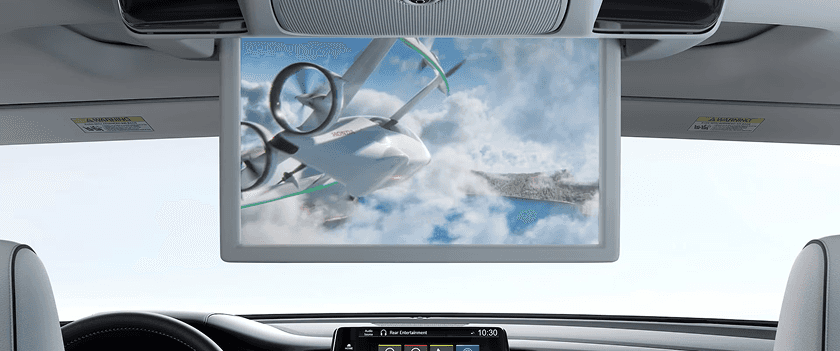 Rear Entertainment System