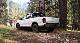 Rugged Good Looks