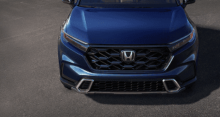 Sport Styling