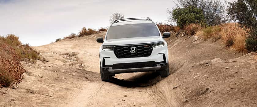 TrailSport