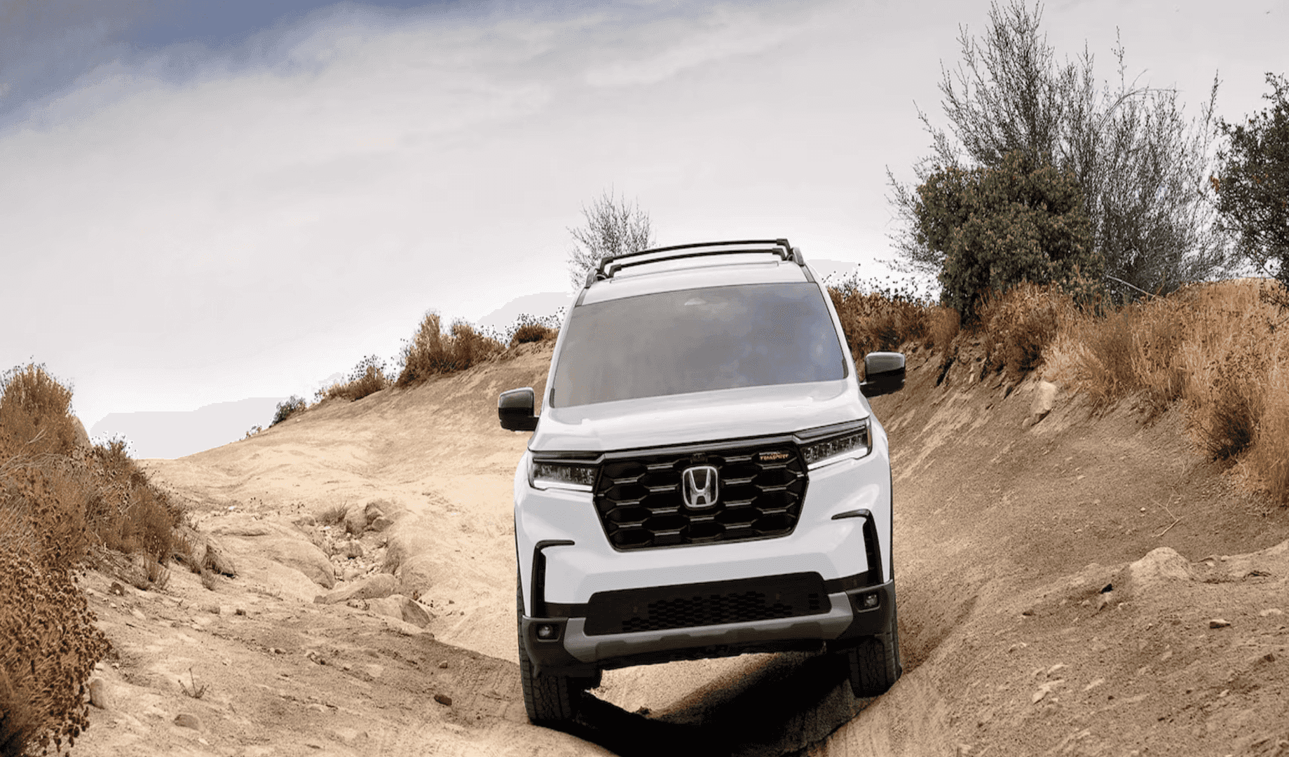 TrailSport