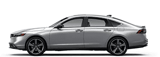Sport Hybrid