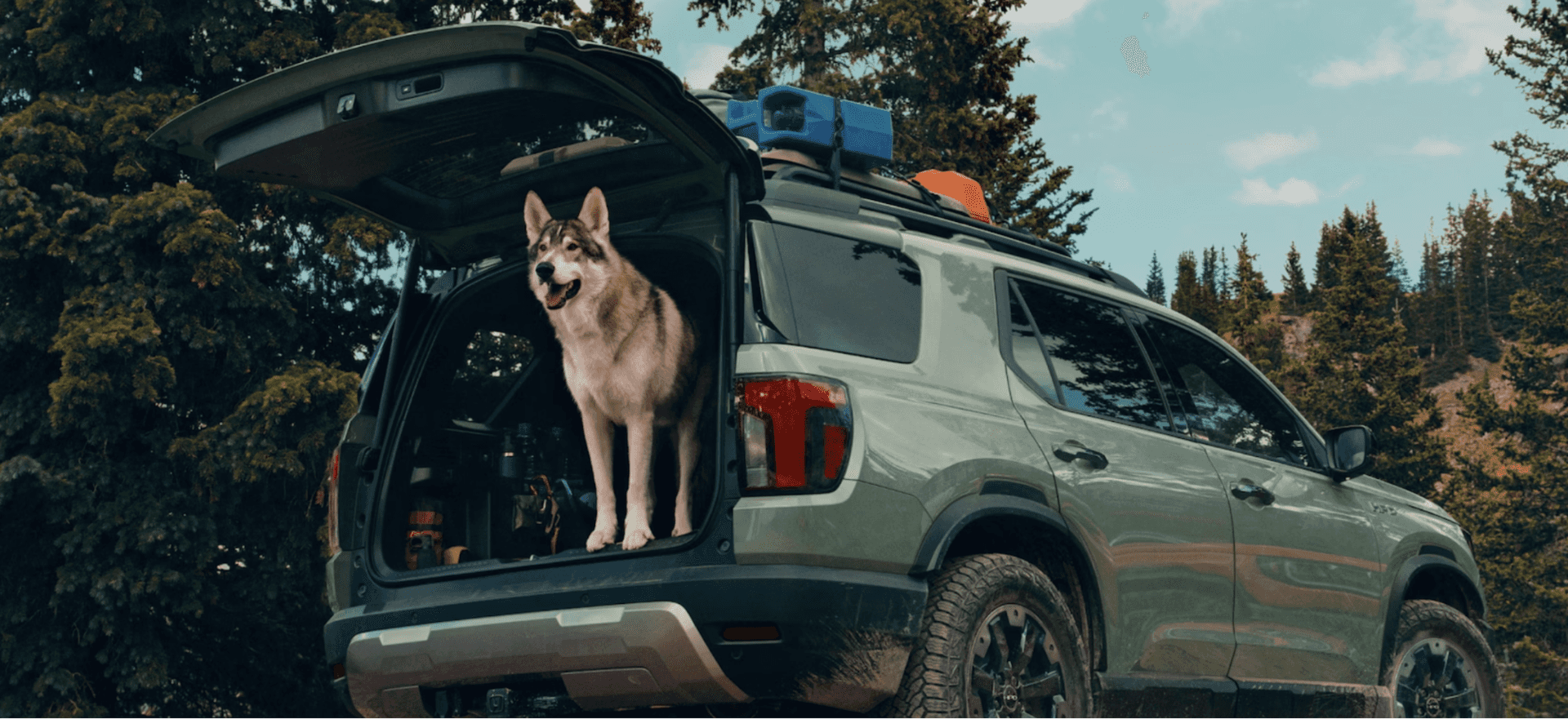 The Honda Passport Is Pet-Friendly