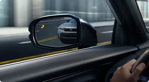 Blind Spot Information System