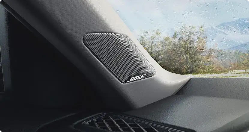 Bose Premium Sound System