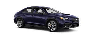 2025 Limited