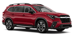 2026 Limited 8-Passenger
