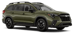 2026 Premium 8-Passenger