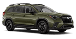 2026 Premium 8-Passenger