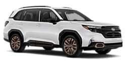 2026 Sport