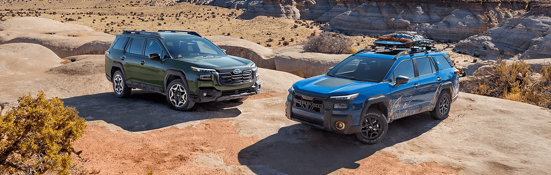 Adventure favors the bold.