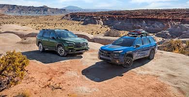 Adventure favors the bold.