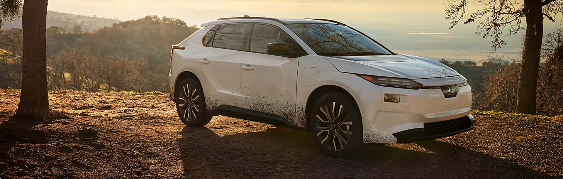 An EV you can trust, from a brand you can love.