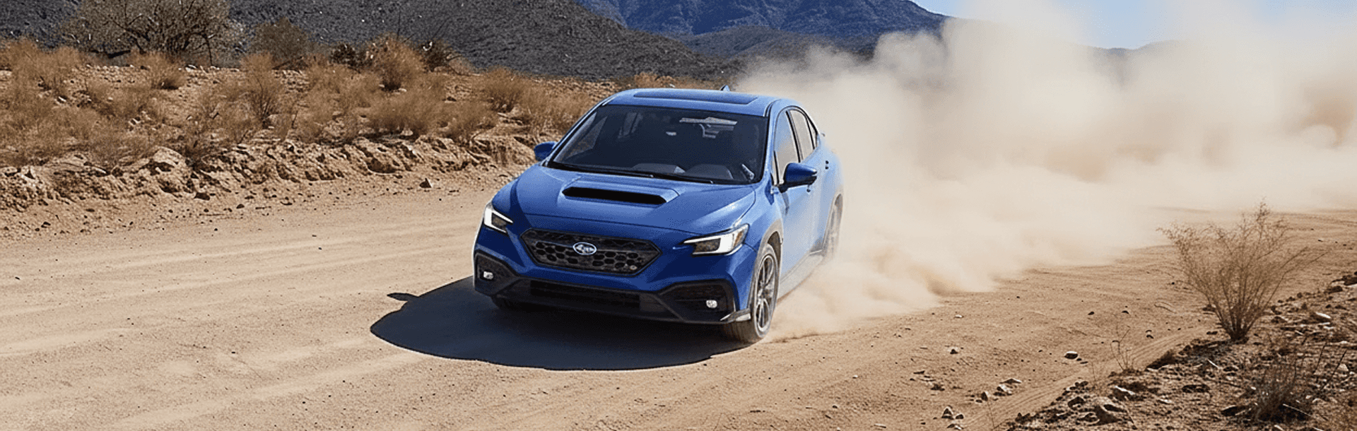 Boring gets left in the dust.