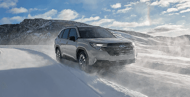 Capability and Efficiency