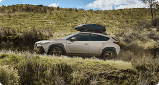 Long-Lasting Adventure