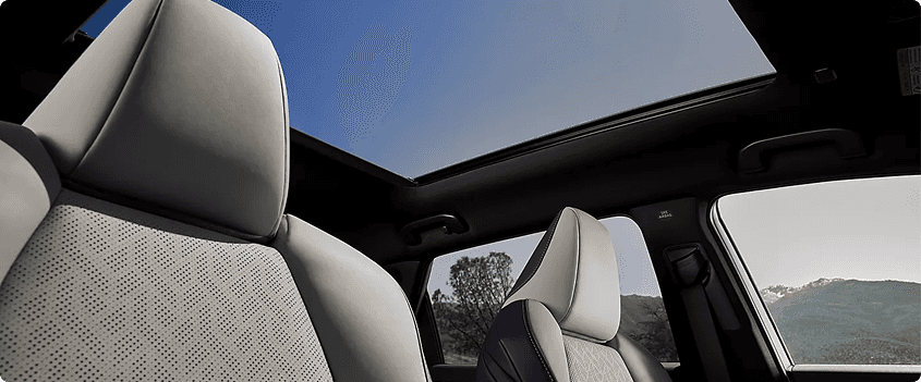 Panoramic Fixed Glass Roof