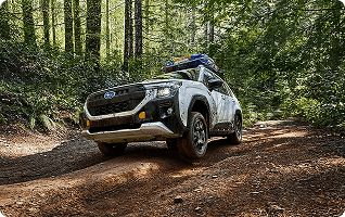 Up to 9.3 Inches of Ground Clearance
