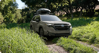 Versatile Capability