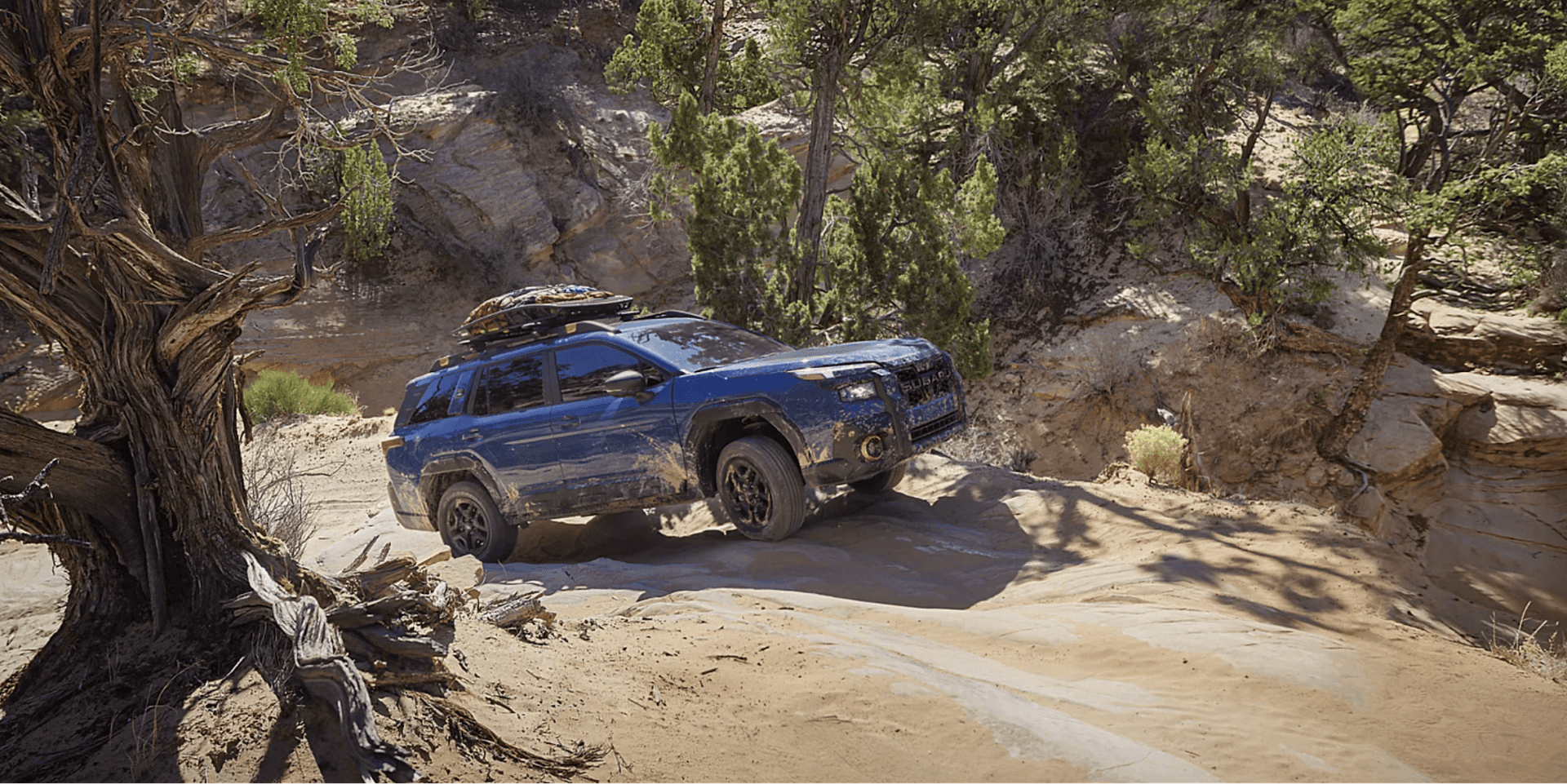 The 2026 Subaru Outback for Sale in Monrovia, CA at Sierra Subaru of Monrovia