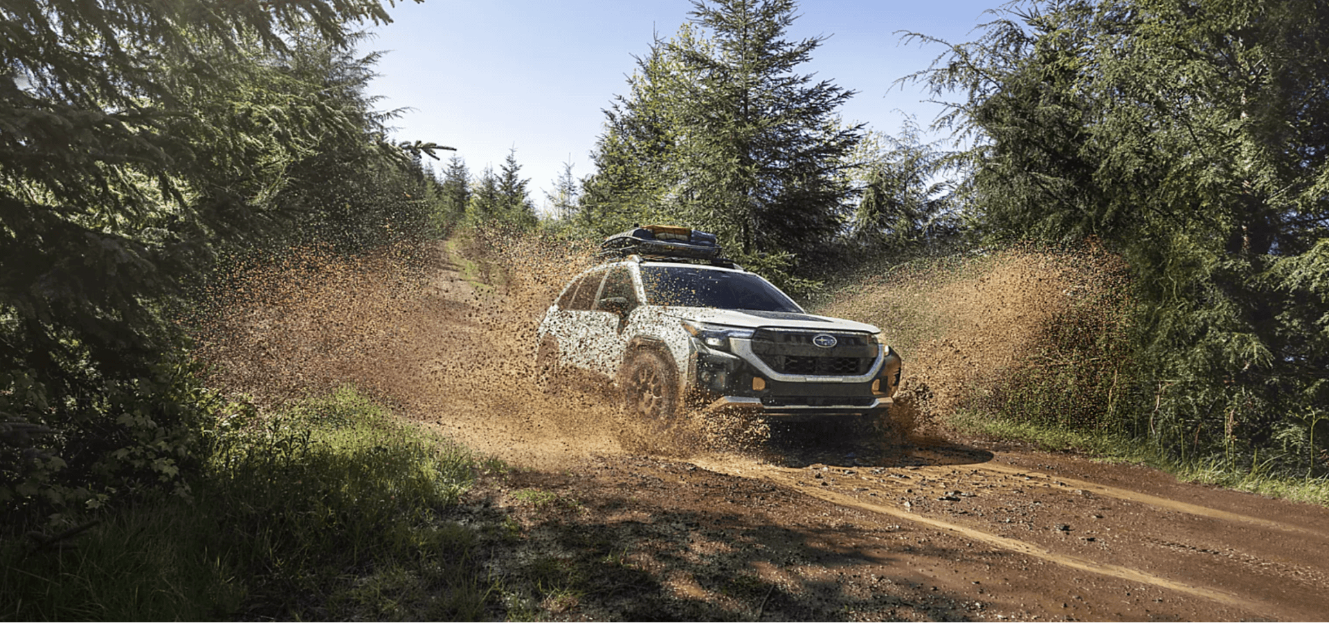 The 2026 Subaru Forester for Sale in Monrovia, CA at Sierra Subaru of Monrovia