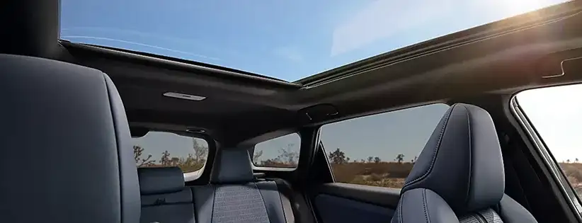 Panoramic Fixed-Glass Roof