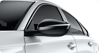 Black Door Mirror Cover
