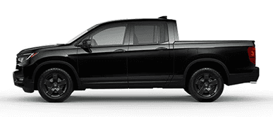 Black Edition