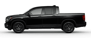 Black Edition