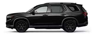 Black Edition