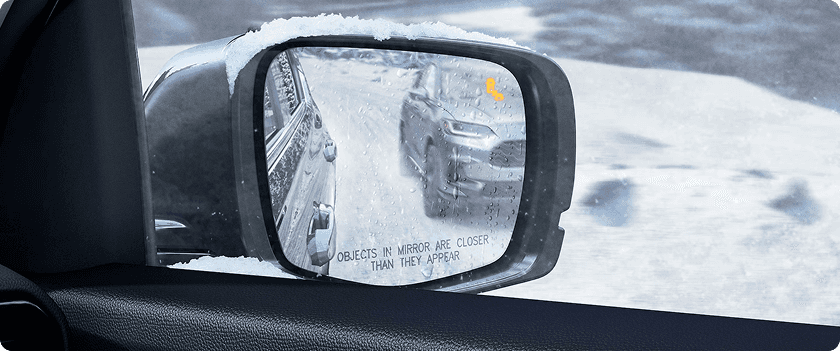 Blind Spot Information System