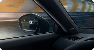 Blind Spot Information System