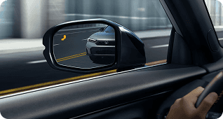 Blind Spot Information System