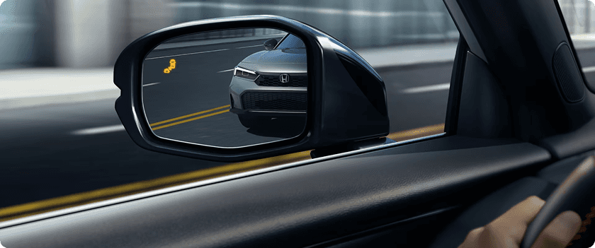 Blind Spot Information System