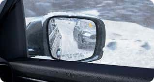 Blind Spot Information System