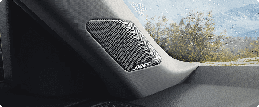 Bose Premium Sound System