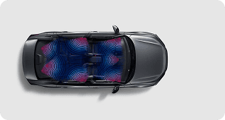 Bose Premium Sound System